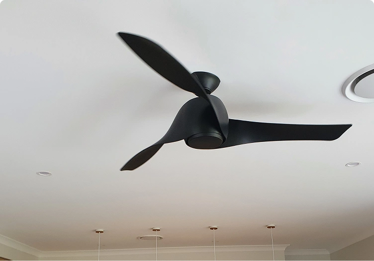 Fans & Climate